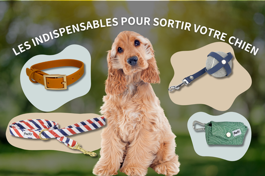 Les accessoires indispensables pour une sortir avec votre chien : Collier, laisse, pochette sac à crottes et porte-balle. En tissu ou en biothane en fonction du chien.