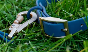 Gros plan sur la boucle du collier et de la laisse en biothane Navy
