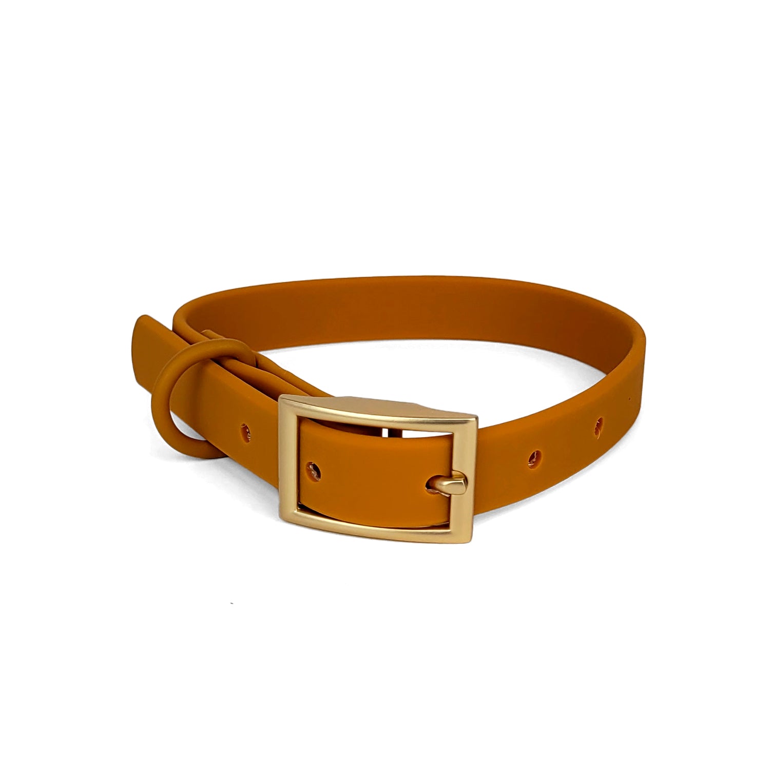Collier en biothane Pumpkin de Pawpix. Couleur orange/marron avec une boucle doré mat.