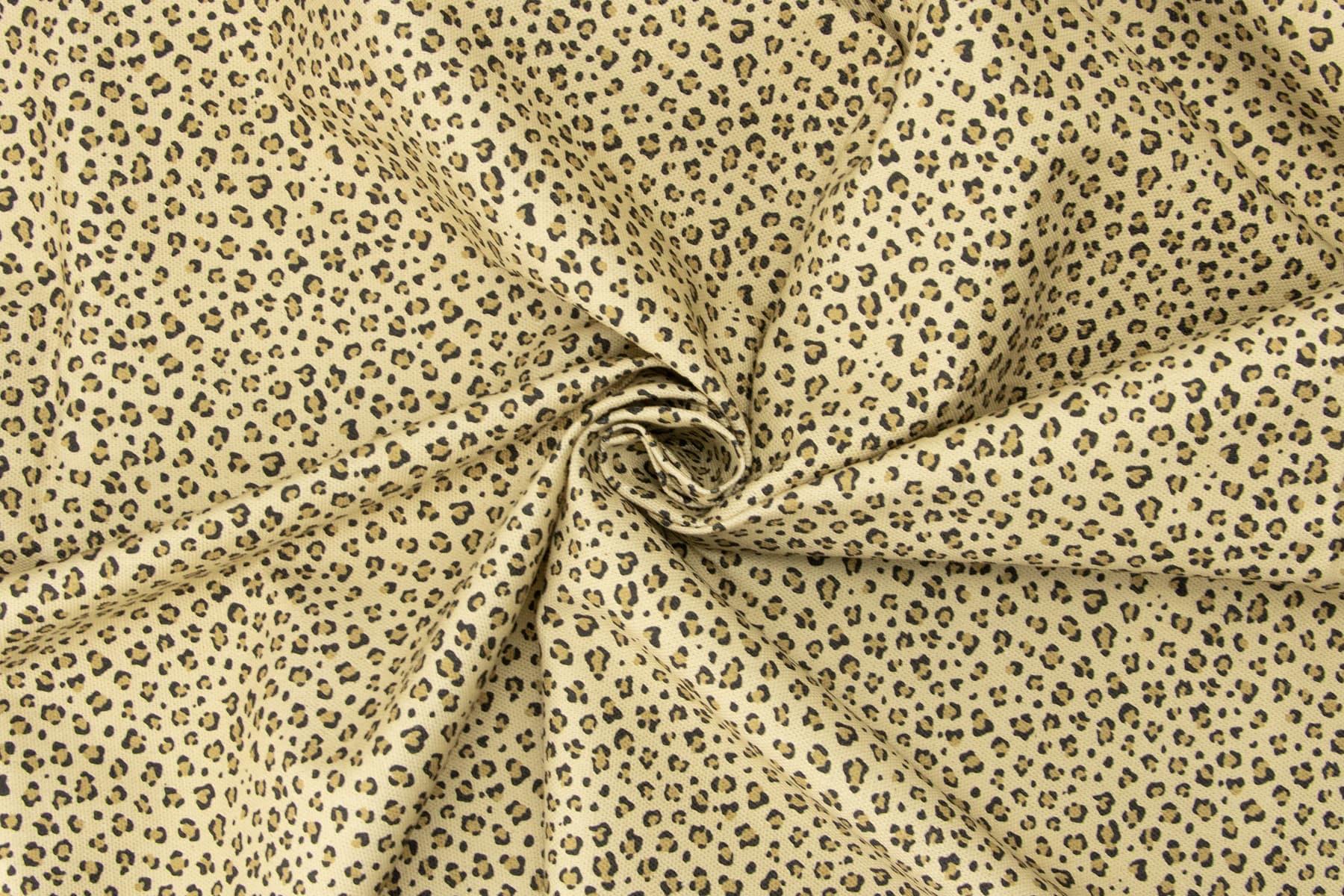 Gros plan sur le tissu leopaw, avec un motif léopard