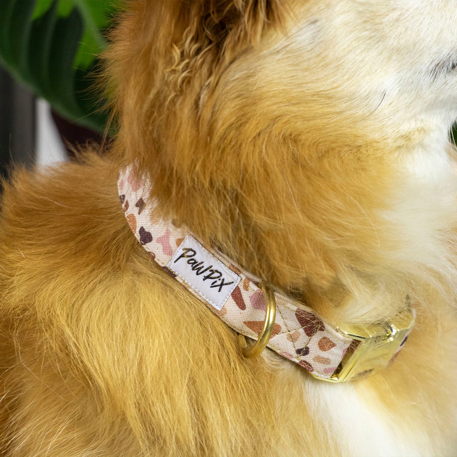 Gros plan sur le collier Pawpino au cou d'un petit chien poil long. Le motif du collier est marbré terrazzo au ton marron/rose