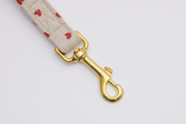 Gros plan sur la boucle du mousqueton de la laisse My Valentine