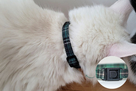Collier Nessie au motif tartan vert écossais sur un chat blanc 