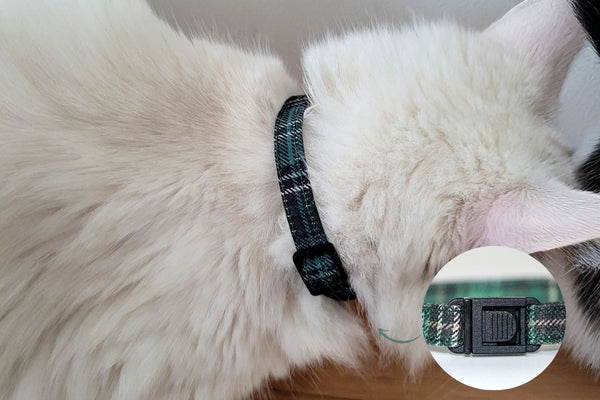 Collier Nessie au motif tartan vert écossais sur un chat blanc 