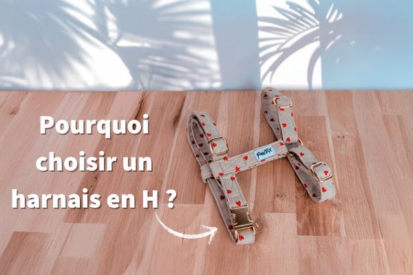 Pourquoi choisir un harnais en H ?
