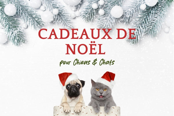 Cadeaux de Noël pour Chiens et Chats : Offrez un Noël Magique avec PawPix