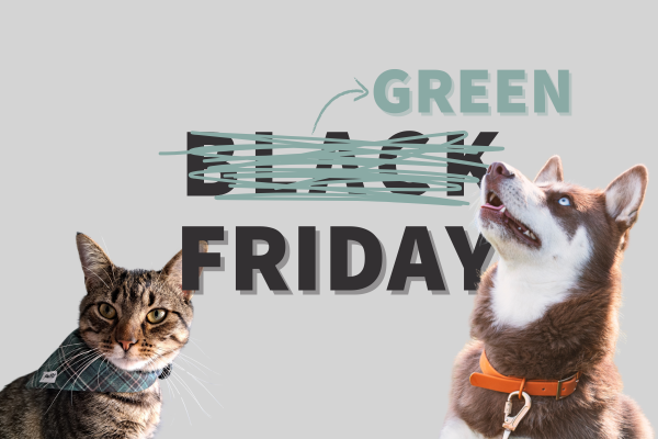 Fini le Black Friday, bonjour le Green Friday