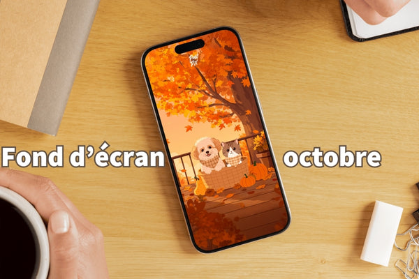 Fonds d’écran PawPix Octobre : chiens & chats dans l’ambiance automne