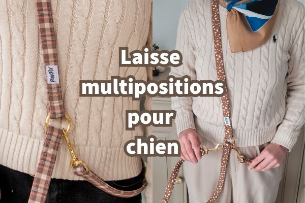 1 laisse, 4 utilisations : découvrez la laisse intelligente