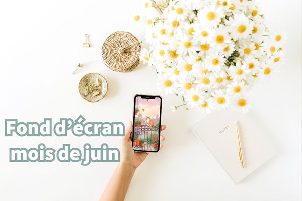 ☀️ Juin arrive : téléchargez les fonds d’écran gratuits PawPix pour un été 100 % pet-friendly ! 🐾🐶🐱