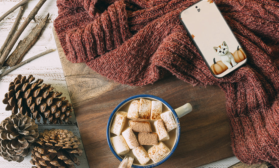 Fond d'écran chat avec les citrouilles dans un environnement automnale comportant un chocolat chaud, un pull et des pommes de pin. 