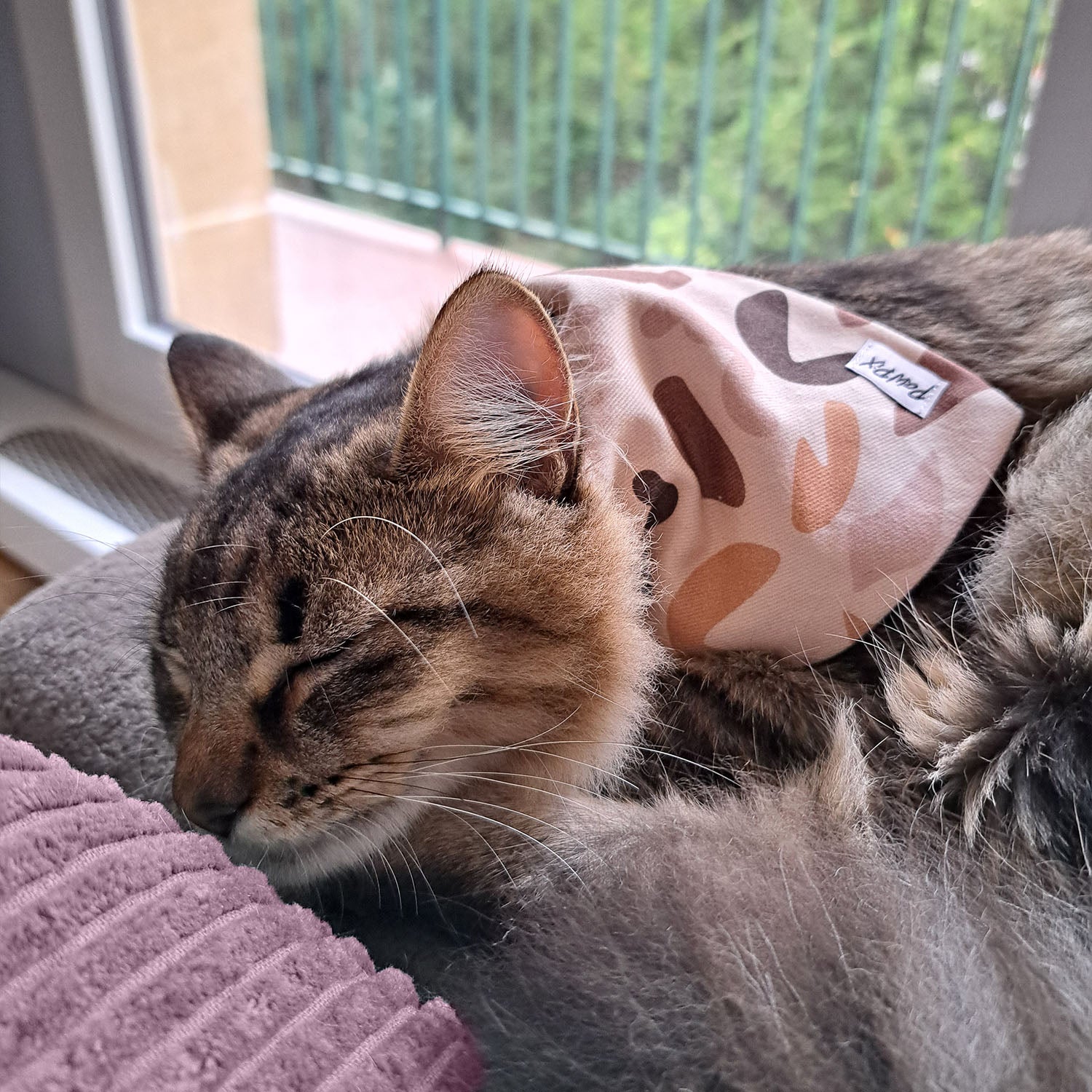 Bandana Call of Pixie pour chat, porté par un chat en train de dormir.