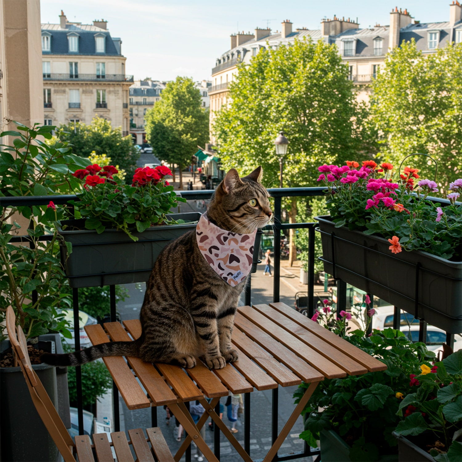 Chat tigré sur un balcon en ville portant le bandana Call of Pixie avec son motif géométrique organique rose/marron et beige. 