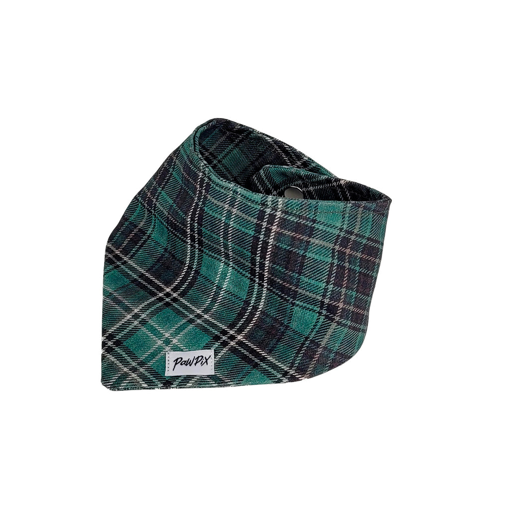 Bandana Chat Nessie de PawPix. Vue de 3/4. Motif à carreaux tartan écossais vert, taille grand chat
