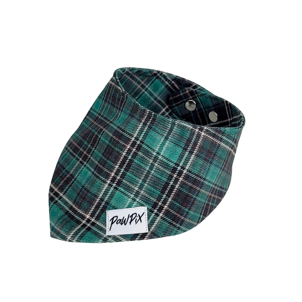 Photo de profil du bandana Nessie taille M, au motif tartan écossais vert