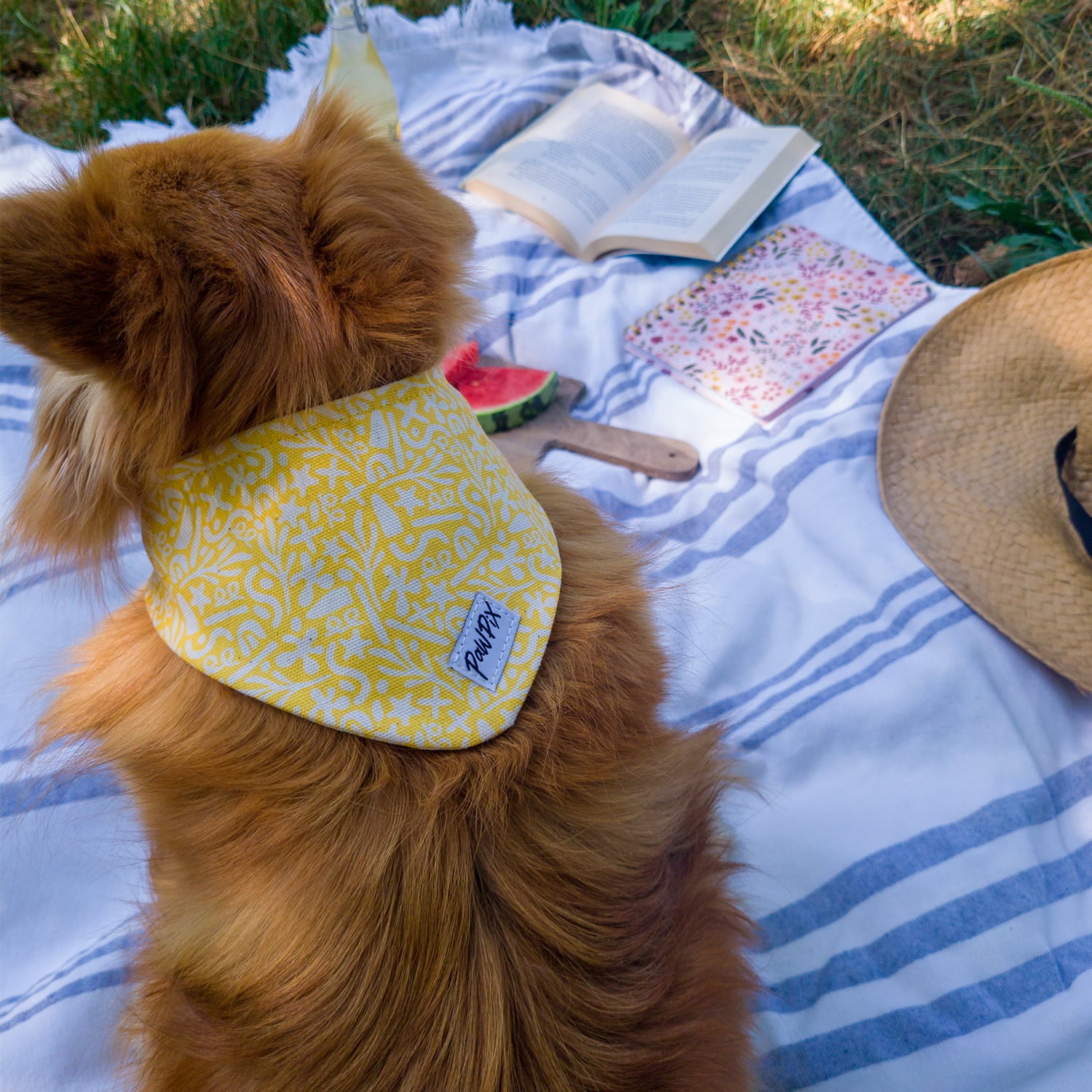 Bandana pour chien Seaside avec un motif marin abstrait blanc sur fond jaune. Le chien se trouve sur une nappe de pique-nique à l'ombre et porte le bandana dans son dos
