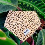Bandana pour chat et chien Leopaw, motif léopard, dans une ambiance jungle tropical. 