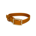 Collier en biothane Pumpkin de Pawpix. Couleur orange/marron avec une boucle doré mat.