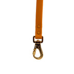 Laisse en biothane Pumpkin de PawPix. Couleur orange/marran. Gros plan sur le mousqueton sécurité