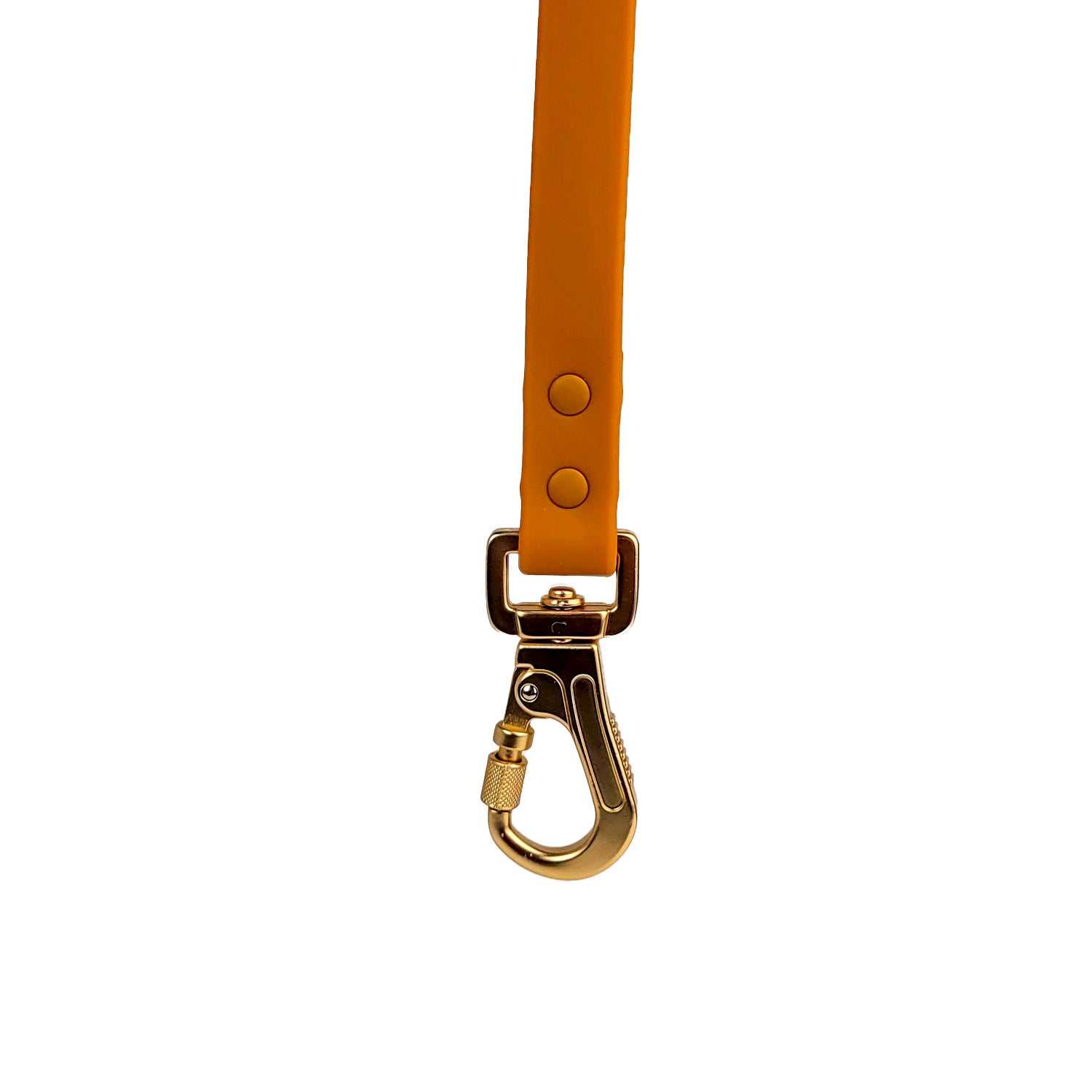 Laisse en biothane Pumpkin de PawPix. Couleur orange/marran. Gros plan sur le mousqueton sécurité