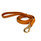 Laisse en biothane Pumpkin de PawPix. Couleur orange/marran.  Vue globale de la laisse avec mousqueton sécurité