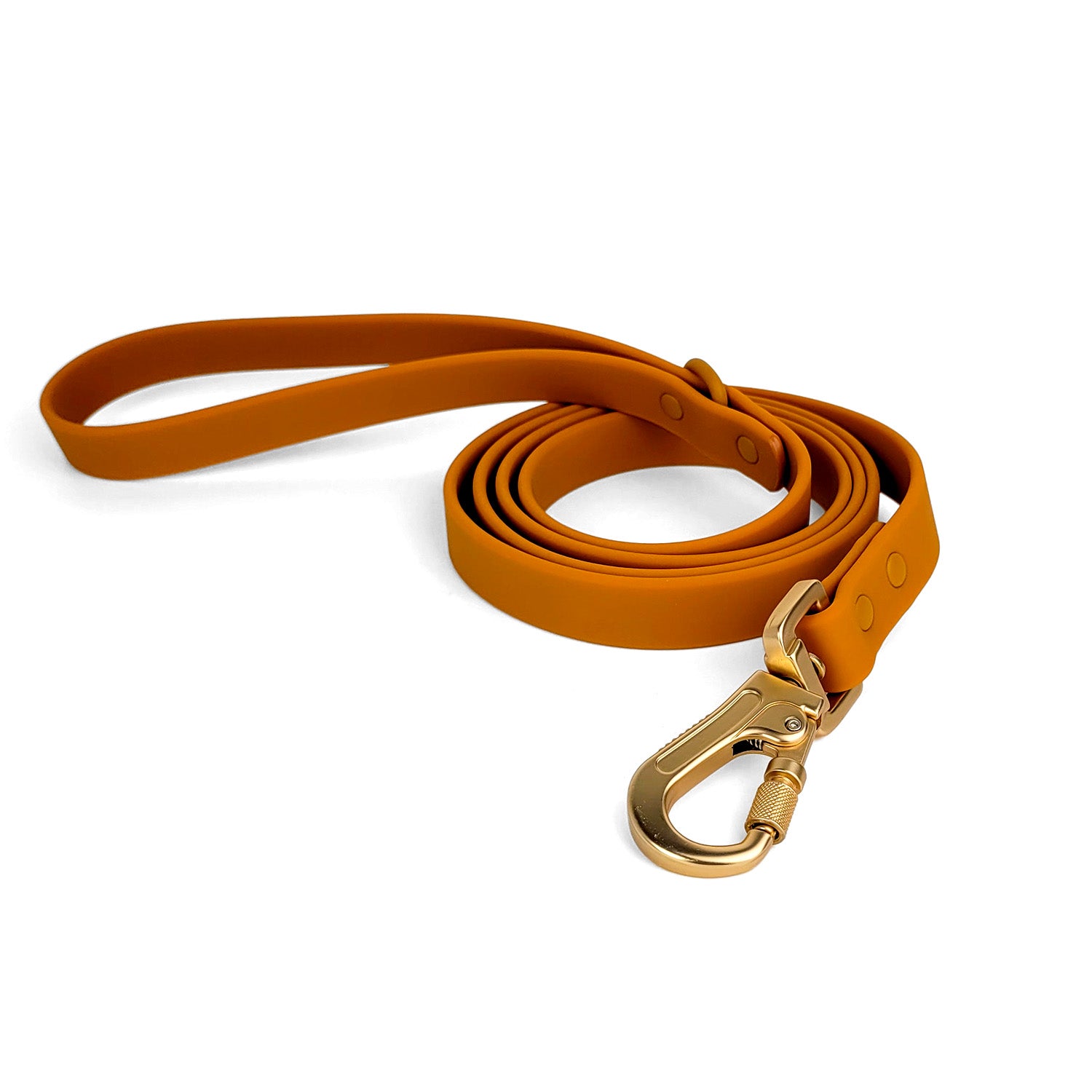 Laisse en biothane Pumpkin de PawPix. Couleur orange/marran.  Vue globale de la laisse avec mousqueton sécurité