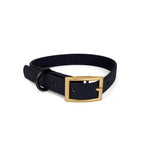 Collier en biothane Shadow de Pawpix. Couleur noir mat avec une boucle doré mat.