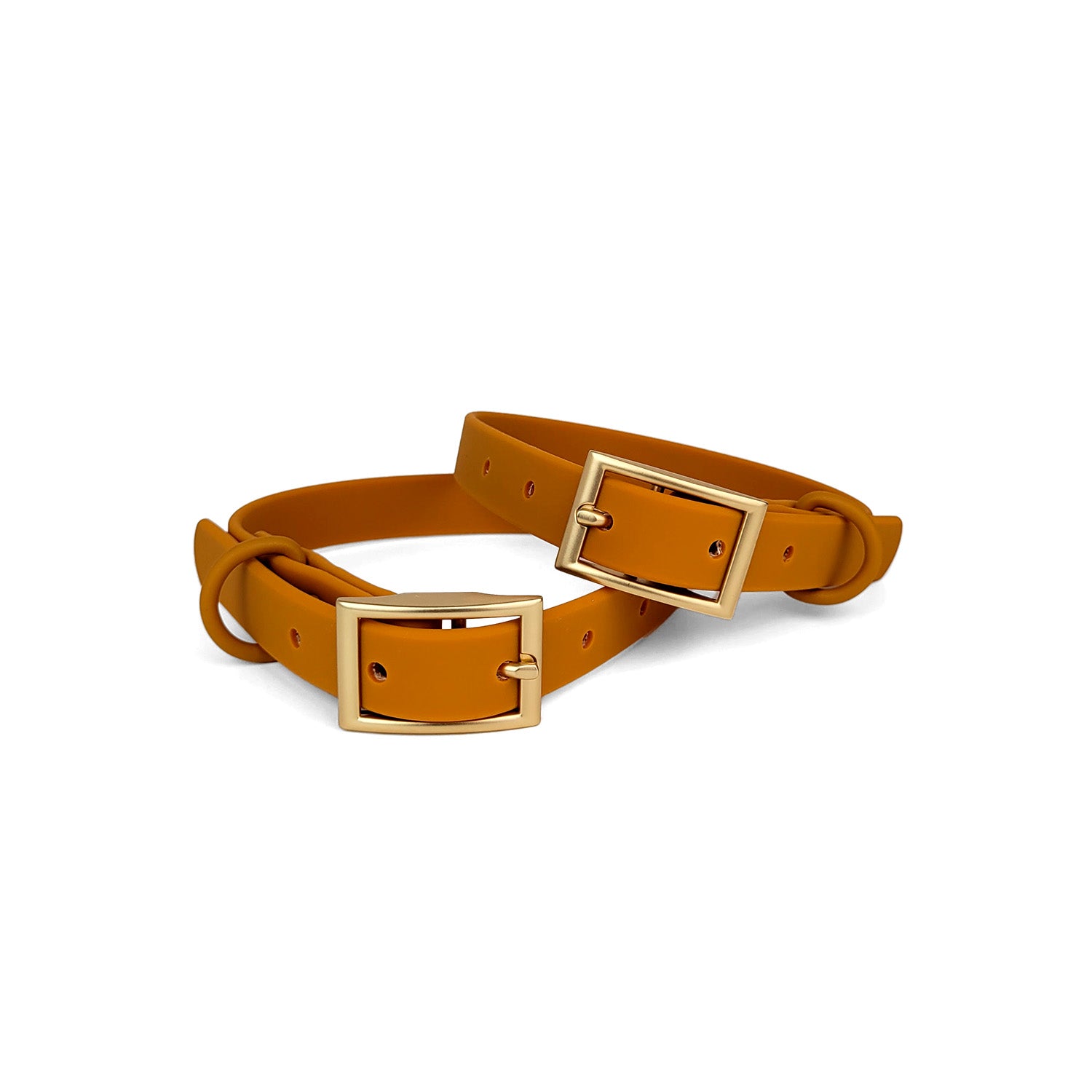 Deux colliers en biothane Pumpkin de Pawpix. Couleur orange/marron avec boucle doré mat.
