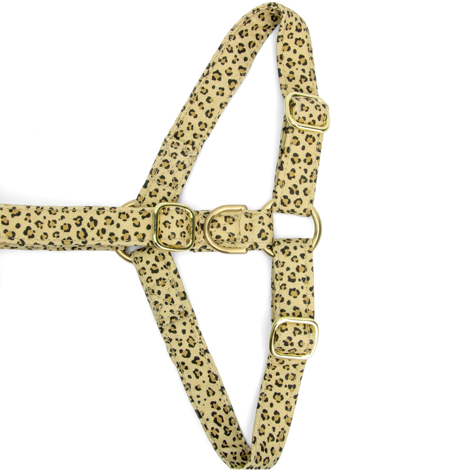 Gros plan de la boucle anti-traction du harnais en Y pour chien Leopaw et son motif léopard. Les boucles sont couleurs or 