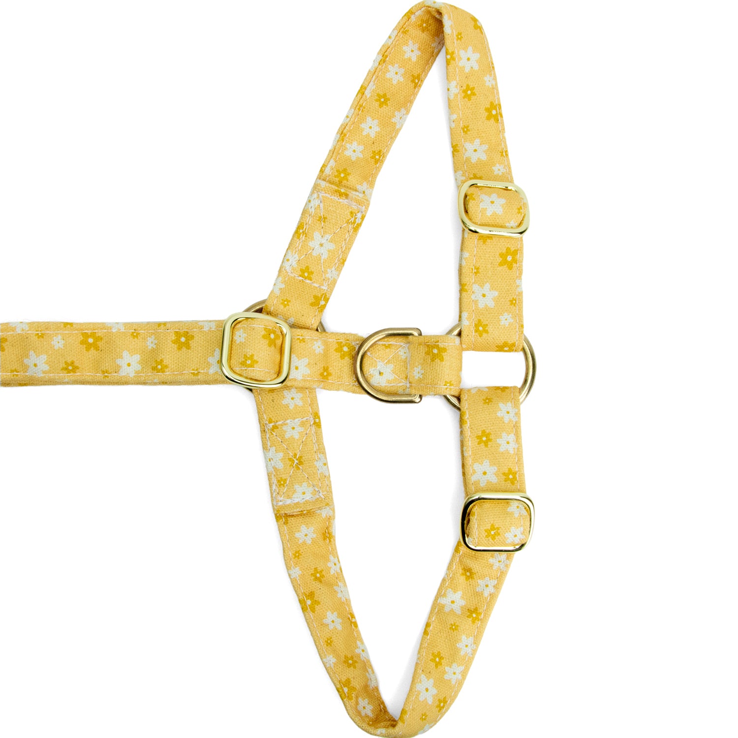 Vue à plat du dessous de harnais pour chien Peachy Daisies et la mise en avant de la boucle anti-traction or