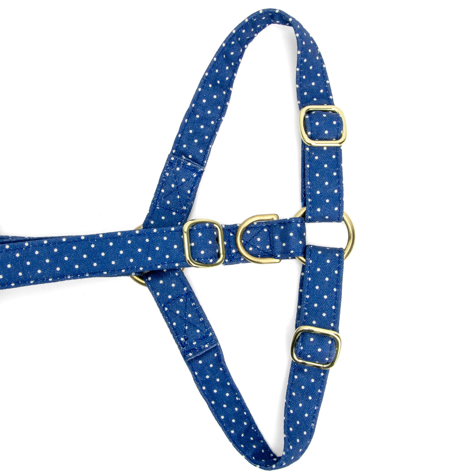 Gros plan de la boucle anti-traction du harnais en Y pour chien Polaris et son motif polka pois blanc sur fond bleu marine. Les boucles sont couleurs or
