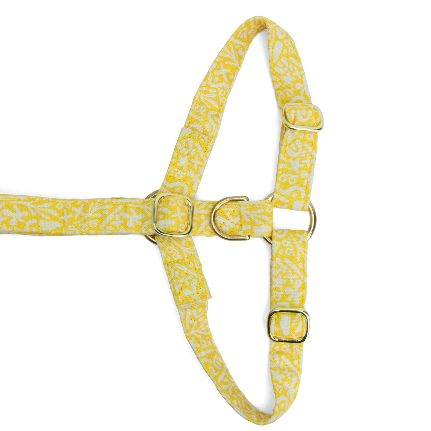 Vue à plat du dessous de harnais pour chien Seaside et la mise en avant de la boucle anti-traction couleur or