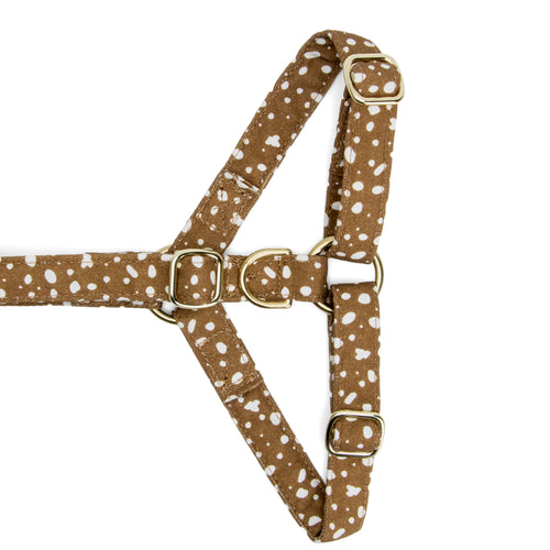 Gros plan sur la boucle anti-traction du harnais pour chien Freckles marron tacheté blanc. Le harnais est en Y et se regle avec différentes boucles couleur or