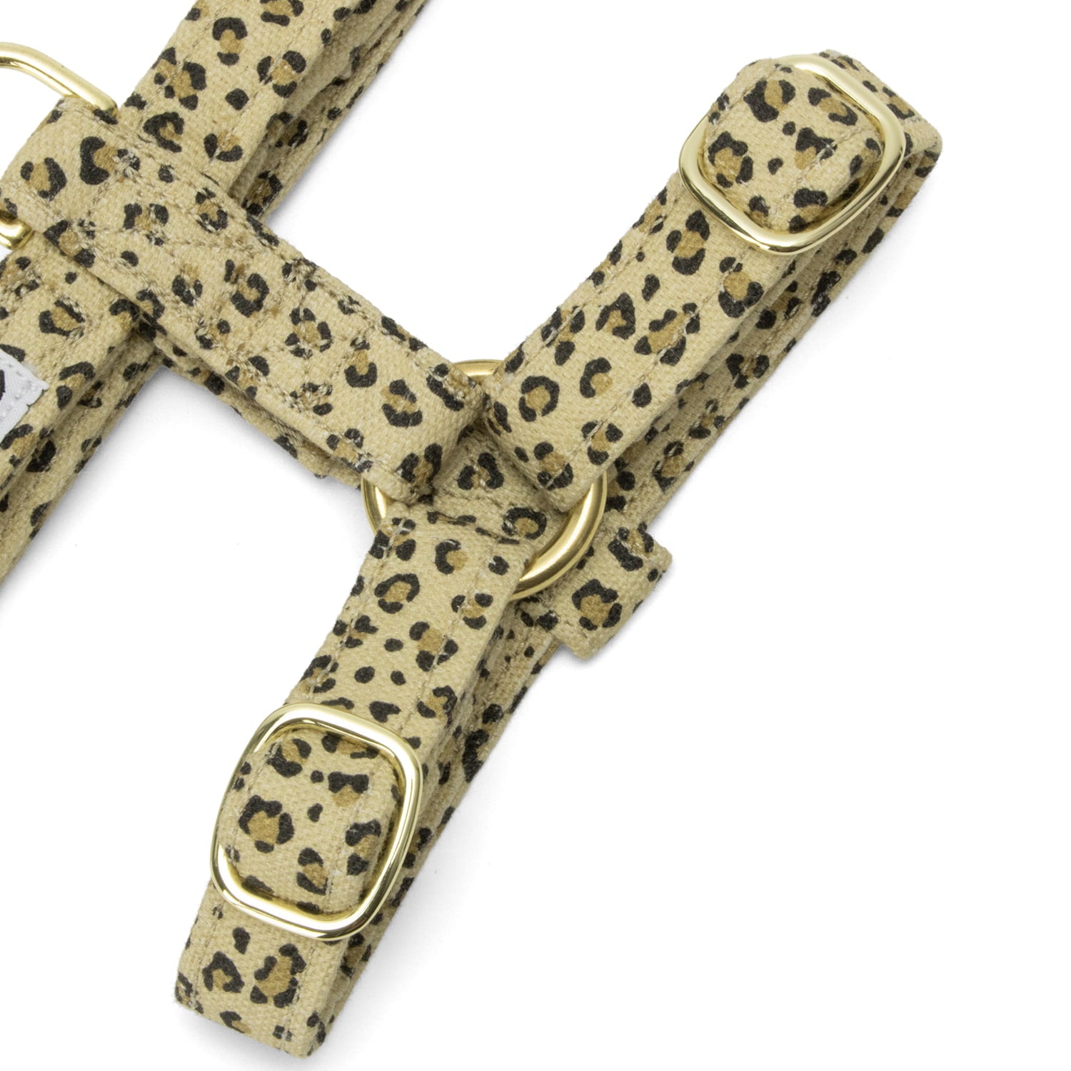 Gros plan ses les boucles du harnais pour chat Leopaw. Le harnais au motif léopard avec des boucles de réglage en or clair. 