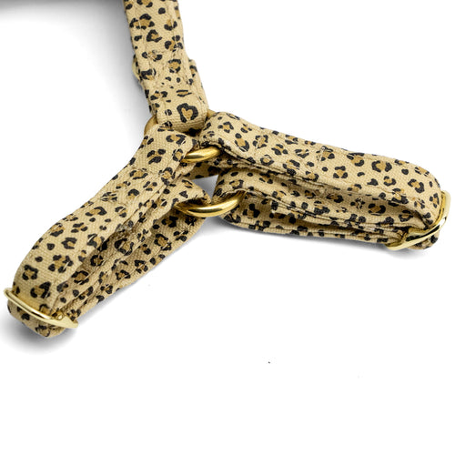 Gros plan ses les boucles du harnais pour chat Leopaw. Le harnais au motif léopard avec des boucles de réglage en or clair. 