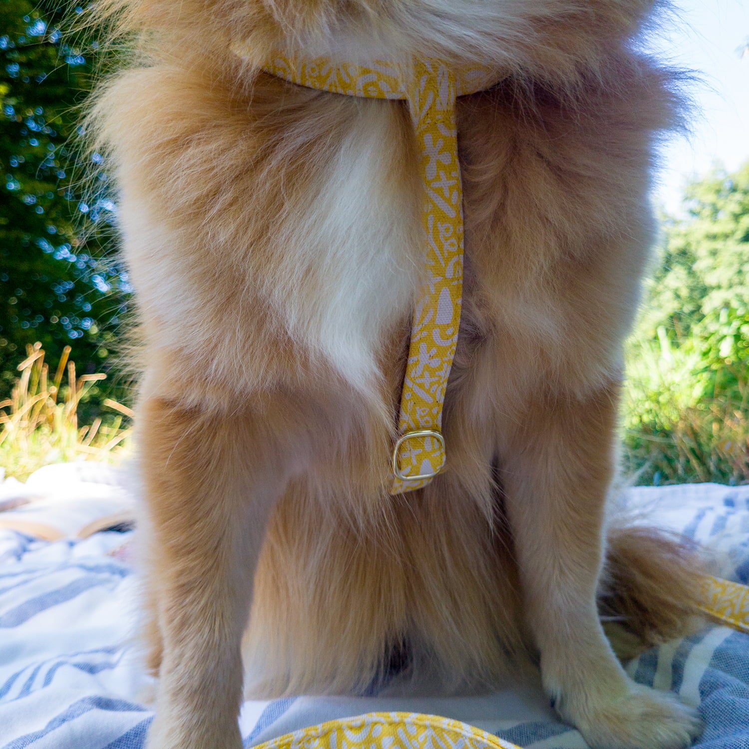 Vue de la boucle poitrail ventre du harnais pour chien Seaside. La boucle permet un réglage optimale du harnais sur les chiens. Le motif du harnais est un design marin abstrait blanc sur fond jaune solaire. 
