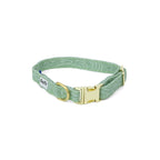 Collier pour chien Topo, taille petit. Couleur vert clair avec un motif topographique, agrémenté d'une boucle clip, d'une boucle de réglage et d'un anneau couleur or clair.Le motif Topo reprend le design géométrique abstrait des cartes de montagnes, avec des lignes blanches sur un fond vert