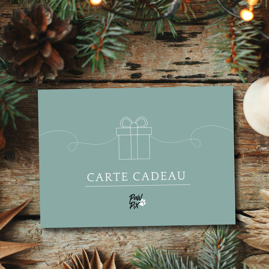 Carte cadeau PawPix dans une ambiance hivernale