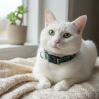 Chat blanc portant le collier pour chat Nessie de Pawpix. Motif tartan vert et noir écossais avec des boucles anti-étranglement