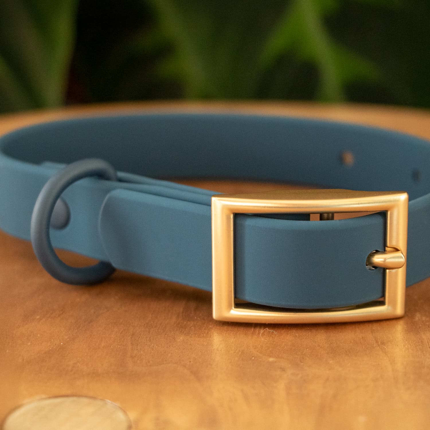 Gros plan sur la boucle et l'anneau du collier en biothane Navy de Pawpix. Le biothane est de couleur bleu avec une boucle couleur or mat