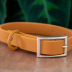 Gros plan sur le collier en biothane Pumpkin de Pawpix. Le collier est de couleur orange/marron avec une boucle couleur or mat. 