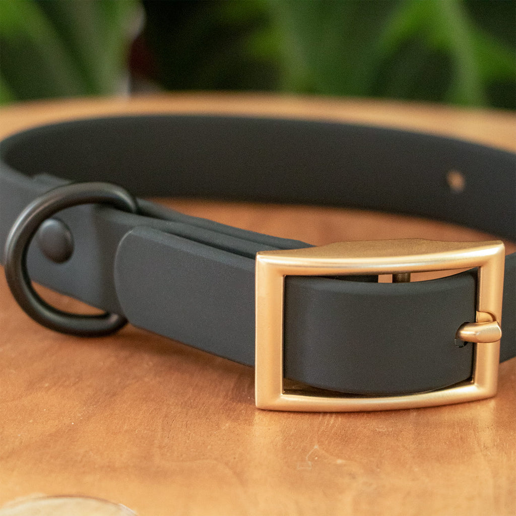 Gros plan sur le collier en biothane Shadow de Pawpix. Le collier est de couleur noir avec une boucle couleur or mat. 