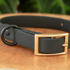 Gros plan sur le collier en biothane Shadow de Pawpix. Le collier est de couleur noir avec une boucle couleur or mat. 