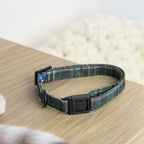 Gros plan sur le collier pour chat Nessie de PawPix au motif carreaux tartan vert et avec sa boucle anti étranglement 