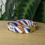 Collier pour chien Pawtriote de Pawpix au motif rayure tricolore bleu blanc rouge et sa bouclerie couleur or claire.