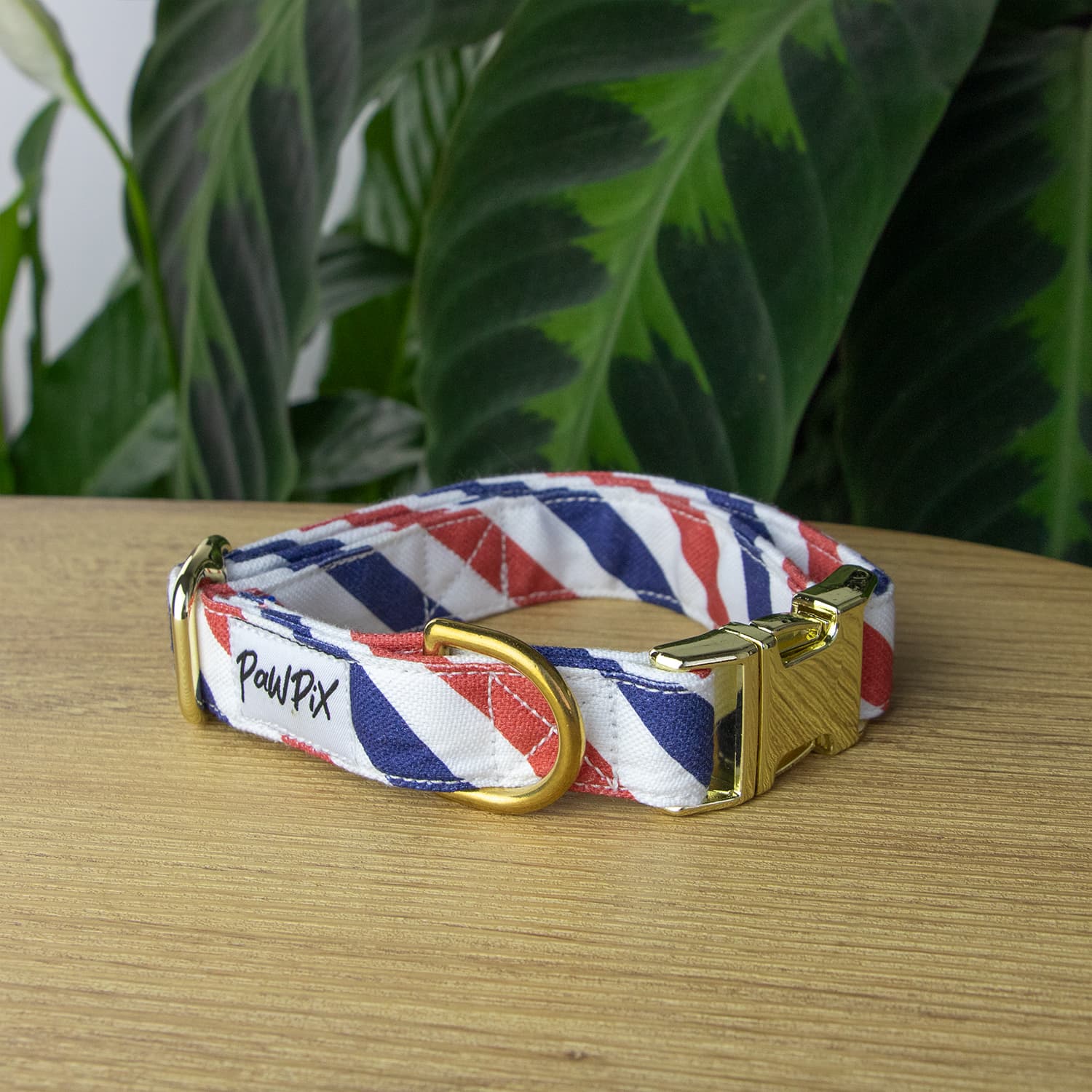 Collier pour chien Pawtriote de Pawpix au motif rayure tricolore bleu blanc rouge et sa bouclerie couleur or claire.