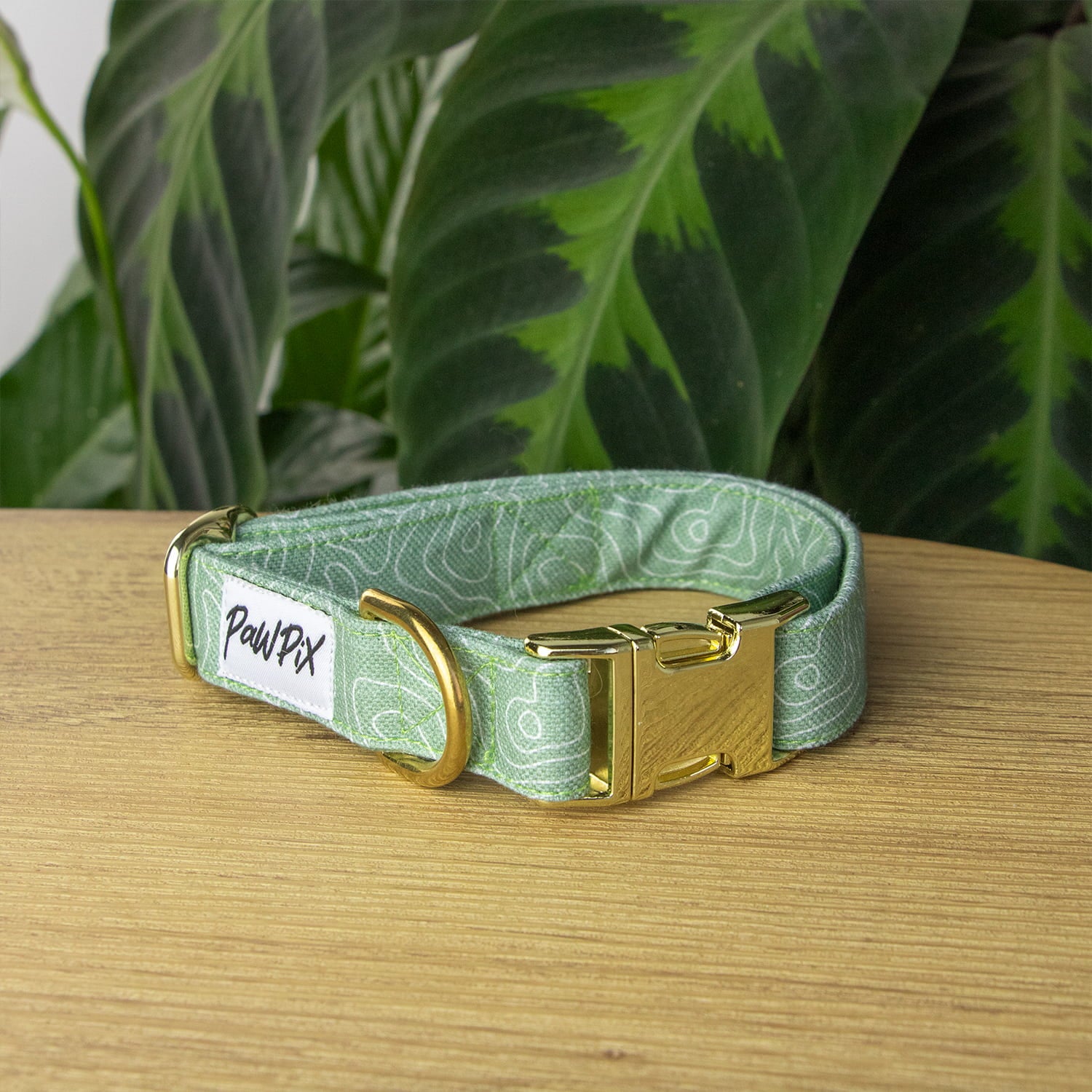 Collier pour chien Topo de Pawpix au motif topographique  vert et sa bouclerie couleur or claire. Le motif Topo reprend le design abstrait des cartes de montages, avec des lignes blanches sur un fond vert
