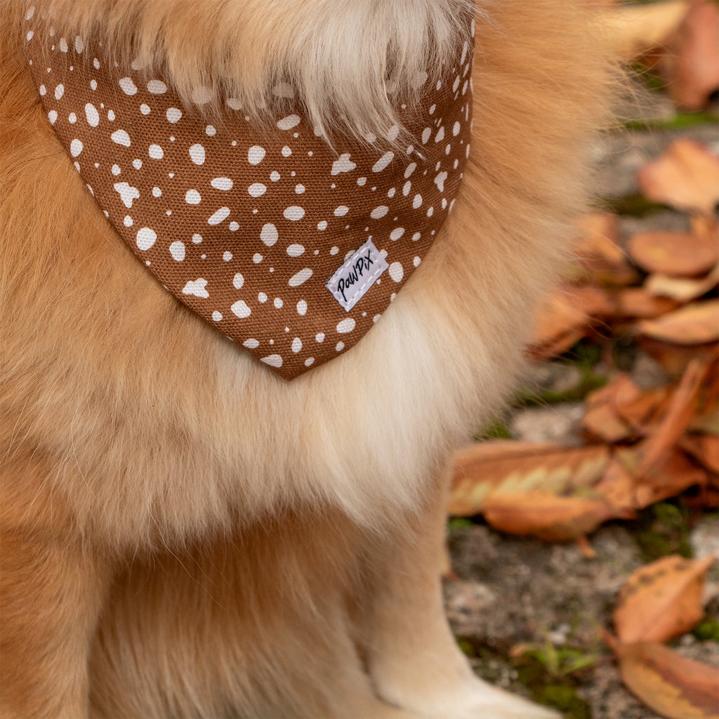 Gros plan sur le bandana pour chien Freckles autour du cou d'un petit spitz. Le bandana est marron tacheté blanc avec une étiquette Pawpix cousue dessus