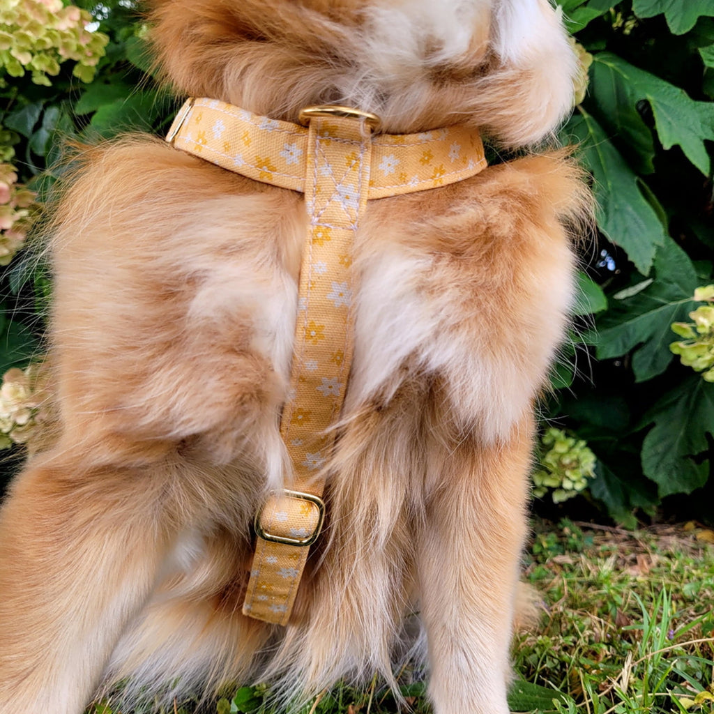 Gros plan sur la boucle ventrale du harnais en H pour chien Peachy Daisies. Le harnais présente un motif fleurs blanches et jaunes sur fond couleur pêche. 