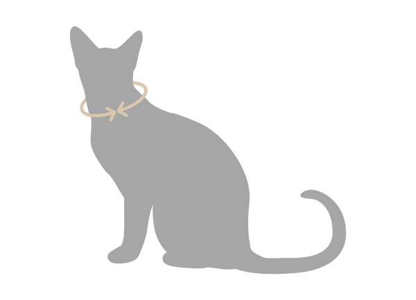 Où mesurer votre animal